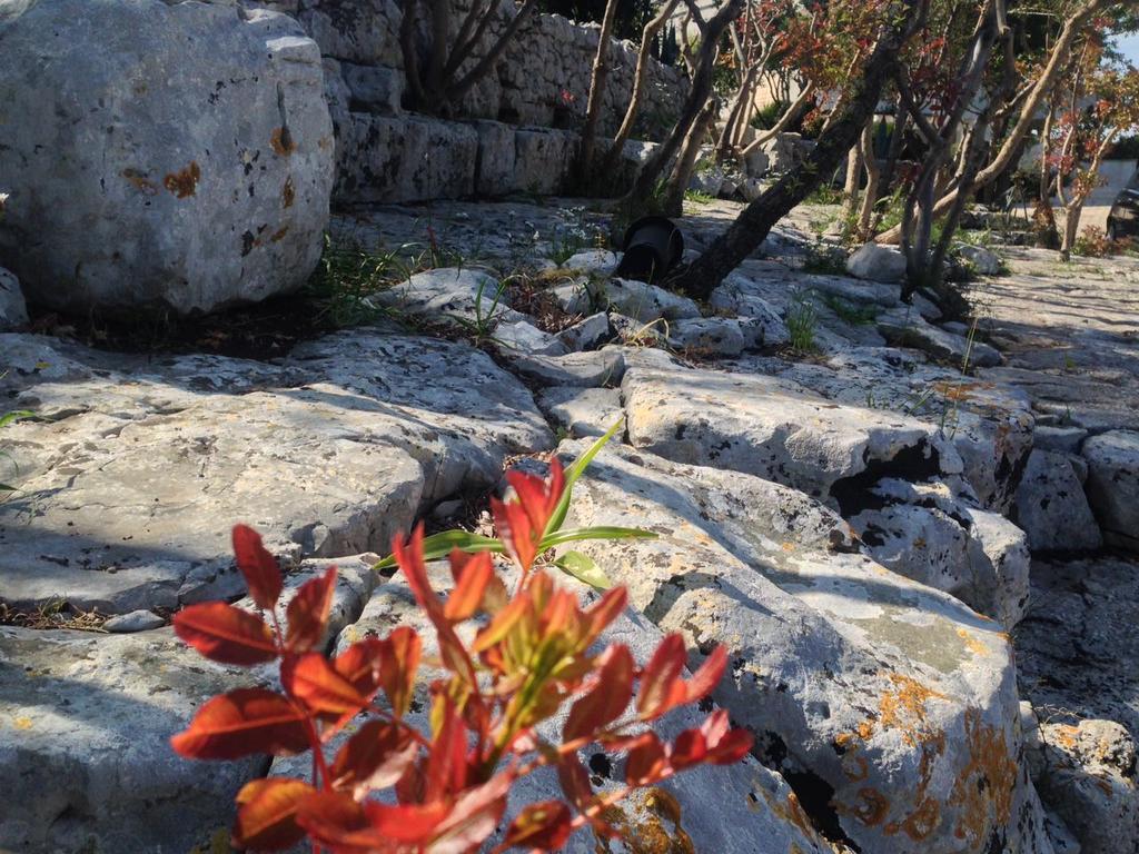 Villa Giuseppina Monopoli Dış mekan fotoğraf