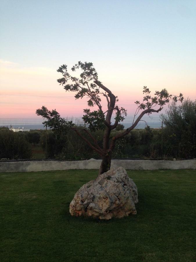 Villa Giuseppina Monopoli Dış mekan fotoğraf